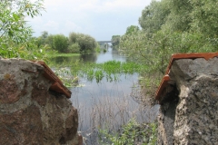 festyn_celtycki_w_ldzie_8_czer_2013_r_20130723_1015303250