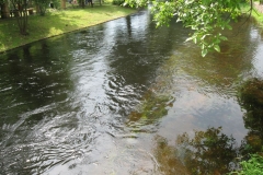 festyn_celtycki_w_ldzie_8_czer_2013_r_20130723_1100915345