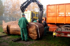 wieloryb_transport_do_konina_10-2013r_20131031_1407553522