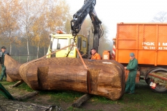 wieloryb_transport_do_konina_10-2013r_20131031_1634362918